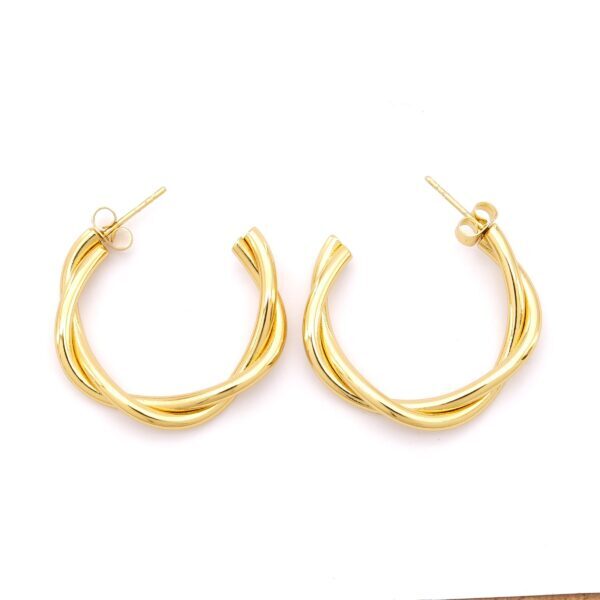 Çelik Halka Küpe Altın Kaplama Kadın Burgu Halka Model UNK-799